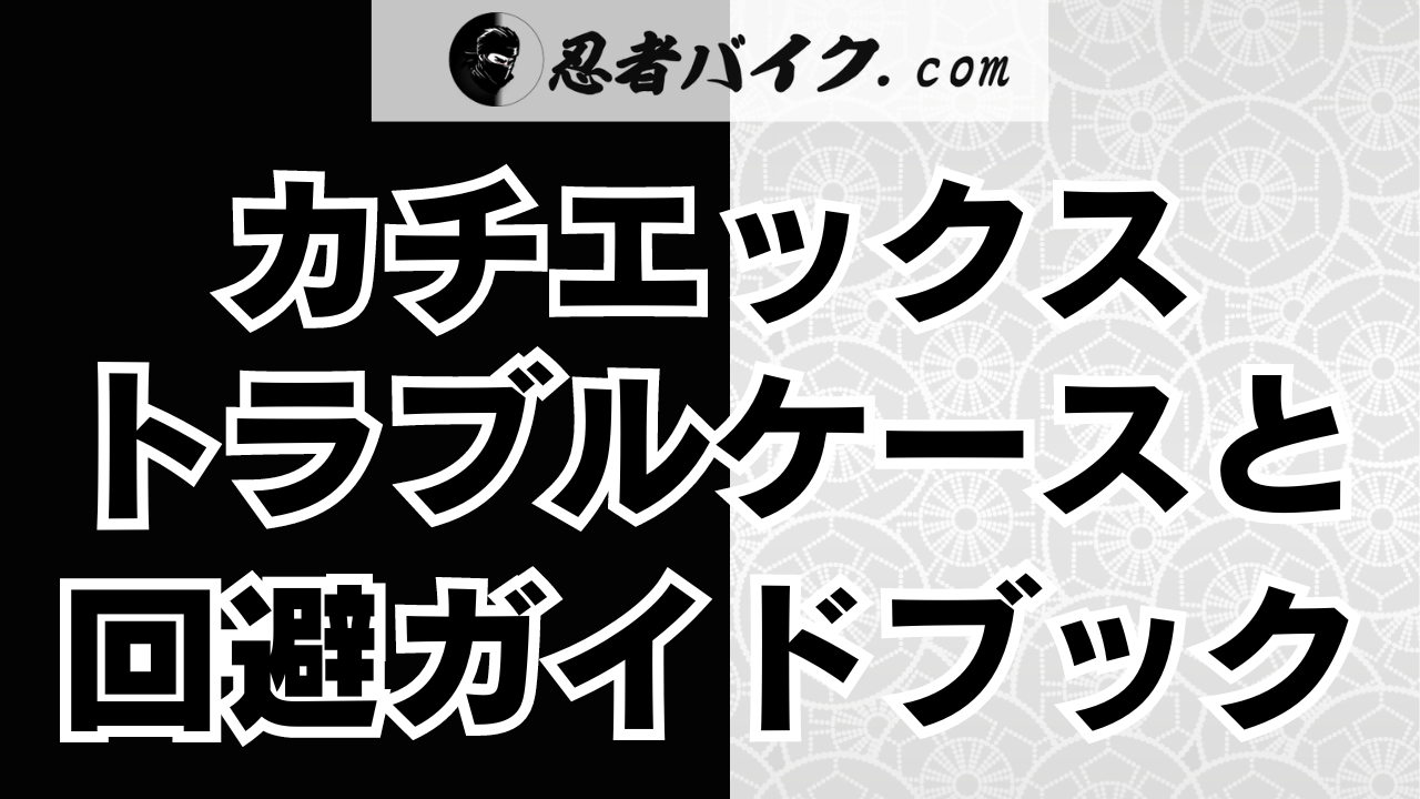 カチエックスでトラブルになるケース