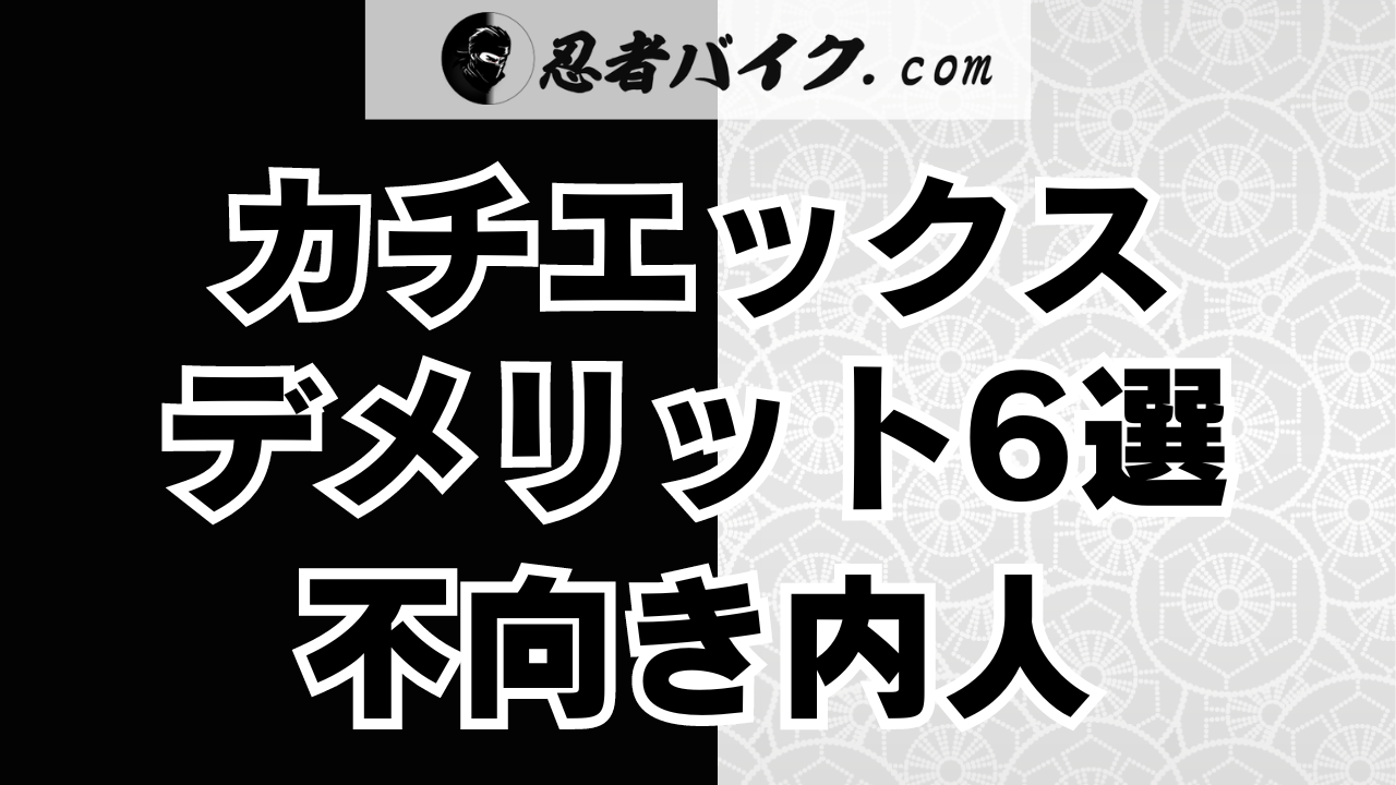 カチエックスのデメリット